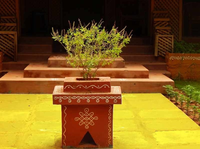 tulsi-plant-for-home-entrance.jpg